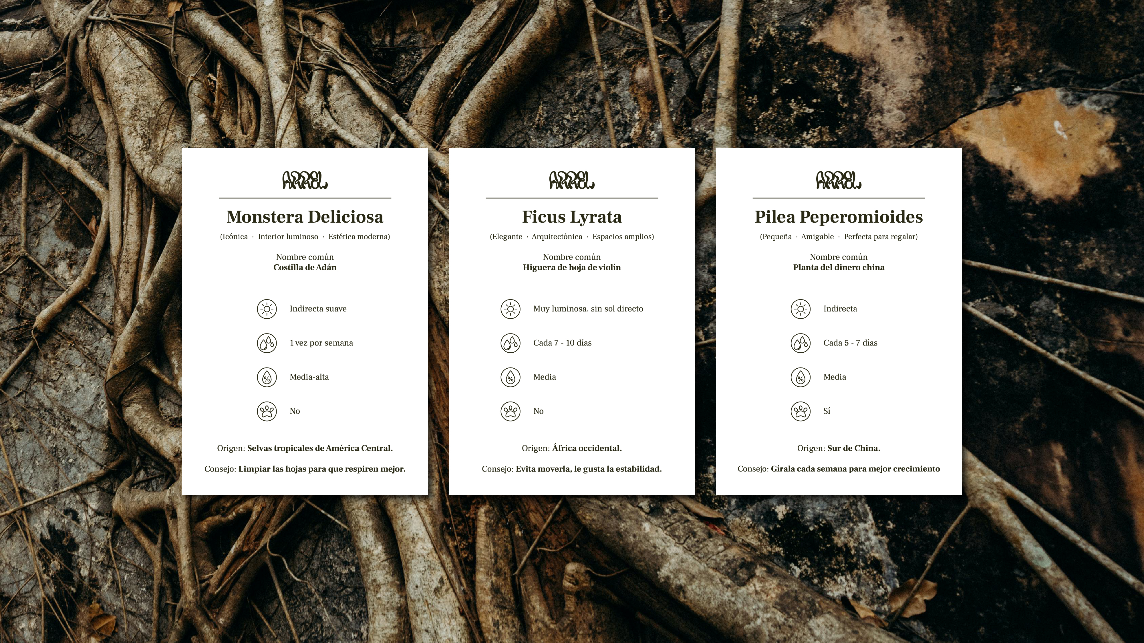 Arrel brand overview