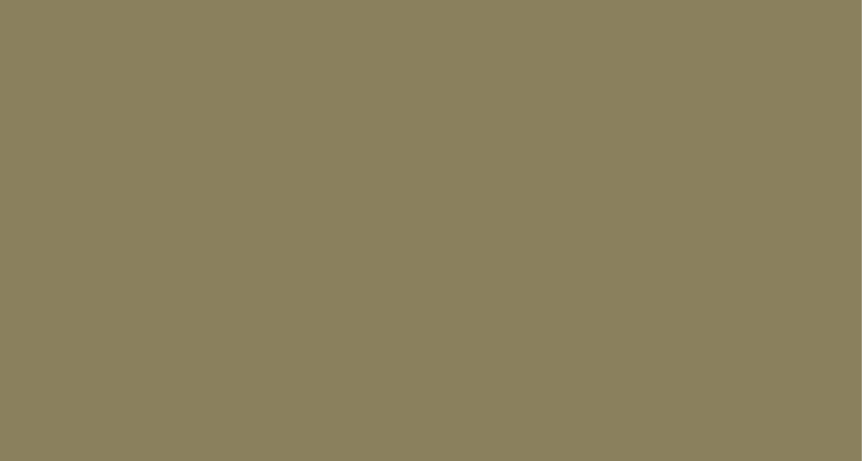 Olive Stone